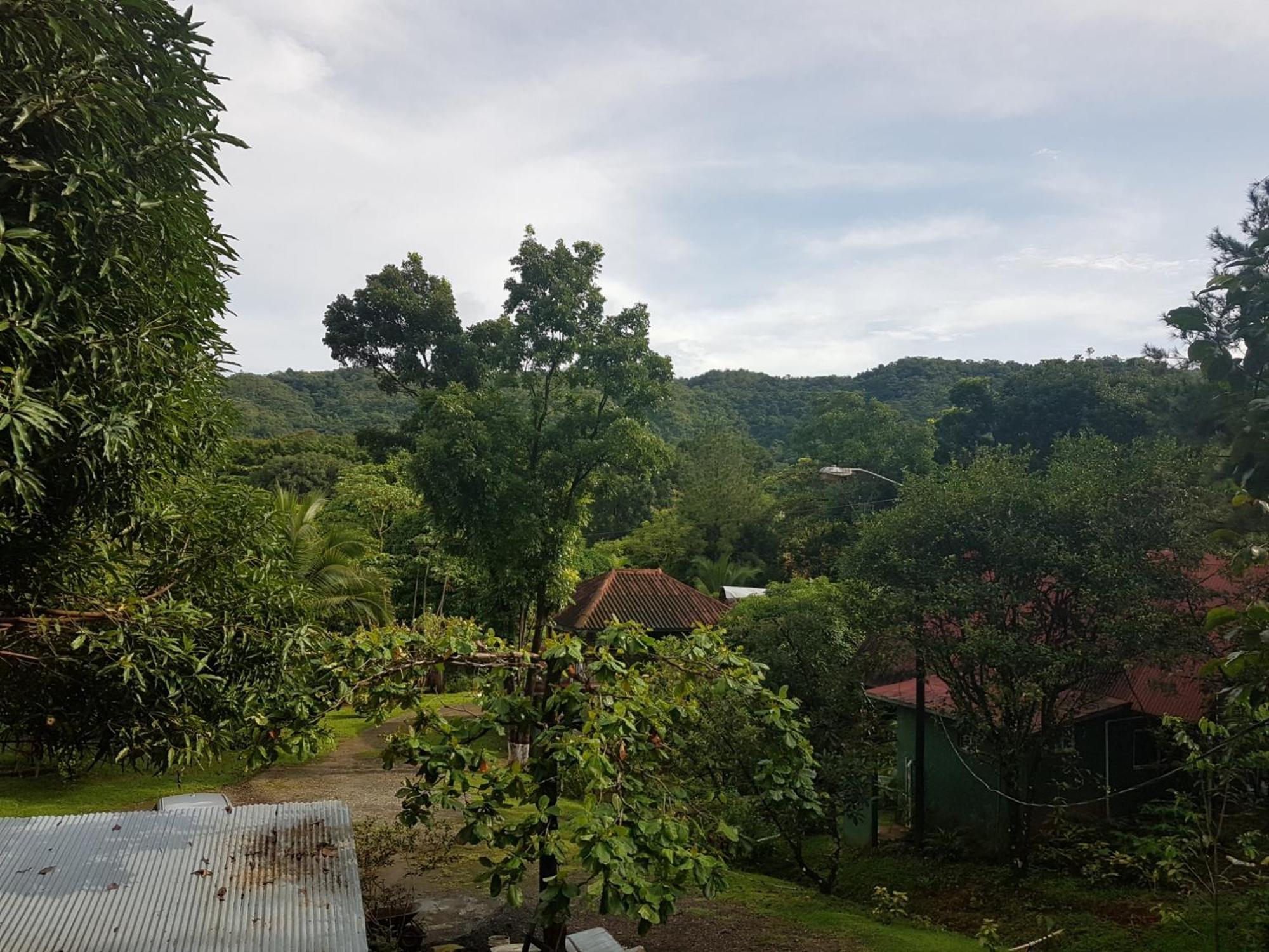 Los Pinos De Torio Exteriör bild